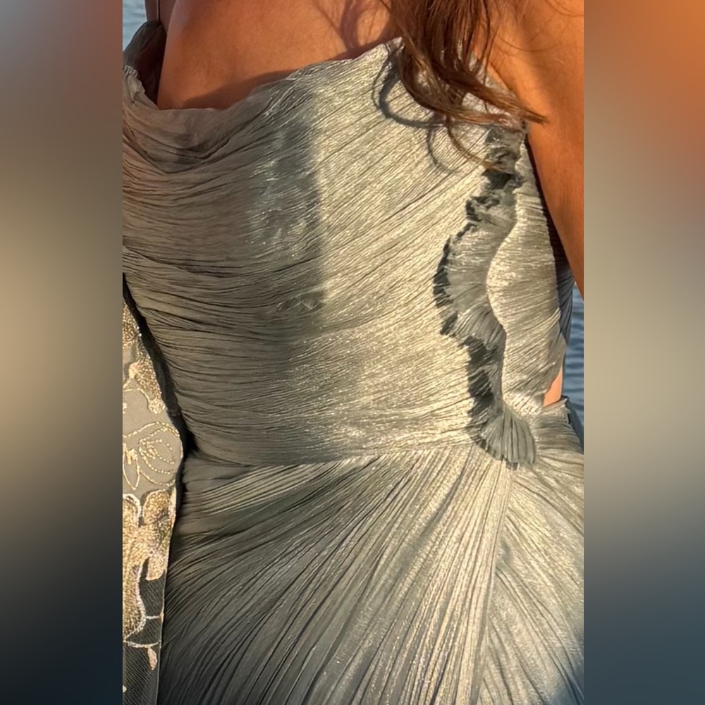 Maria Lucia Hohan Siona Pleated Dress - Picture 5 of 12